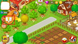 木を診てもらう